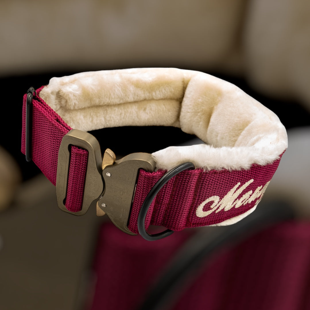 Your Choice - Mass Halsband 2.5 cm/4 cm/5 cm breit