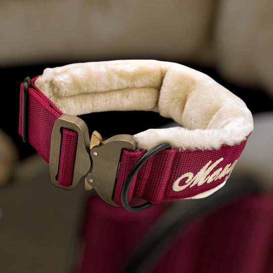 Your Choice - Mass Halsband 2.5 cm/4 cm/5 cm breit