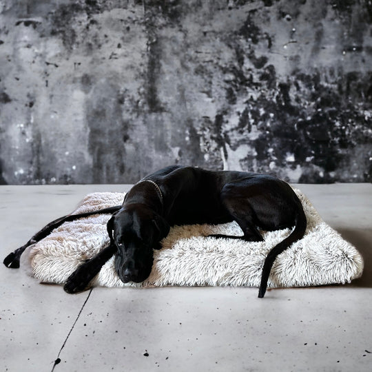 Neu! Bett für grosse Hunde 120 cm Memory Gel Schaumfüllung