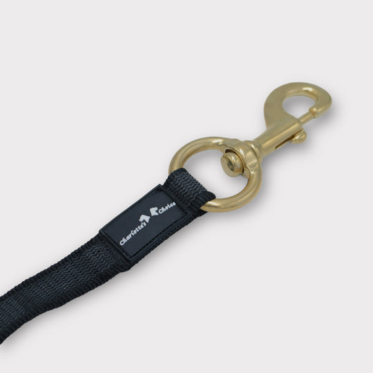 Gummierte Laufleine 5 m/2.5 cm breit mit grossem Messingkarabiner