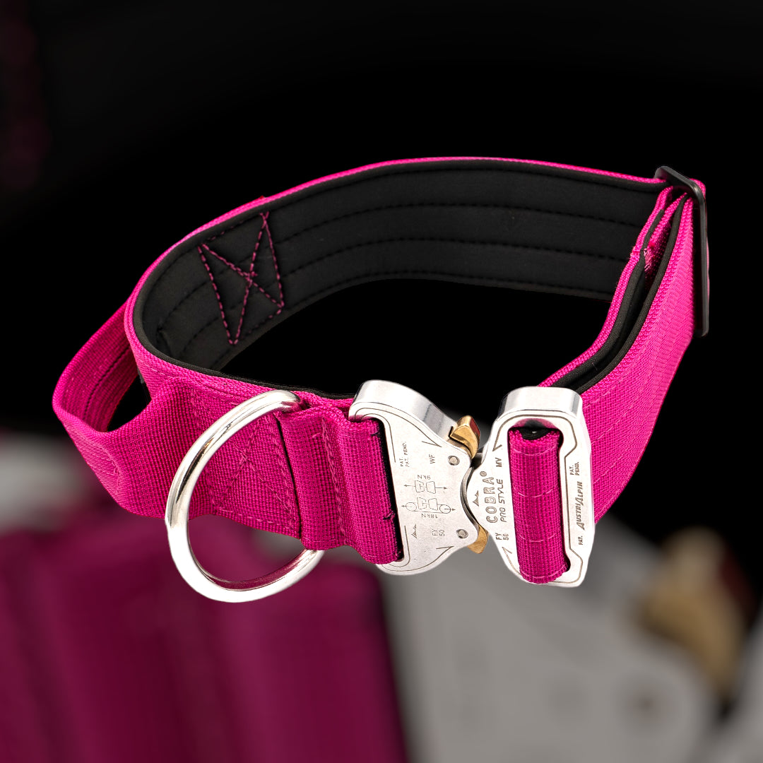 On Duty Cobra Haltegriff Halsband 5 cm für grosse Hunde (41 cm-78 cm)