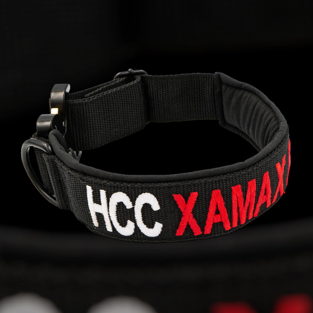 besticktes halsband nach Mass