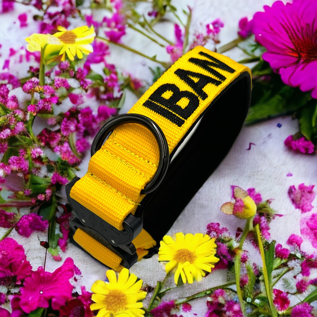 Your Choice - Mass Halsband 2.5 cm/4 cm/5 cm breit