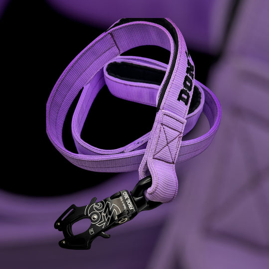 4 cm breite Leinen mit Frog 360 personalisiert