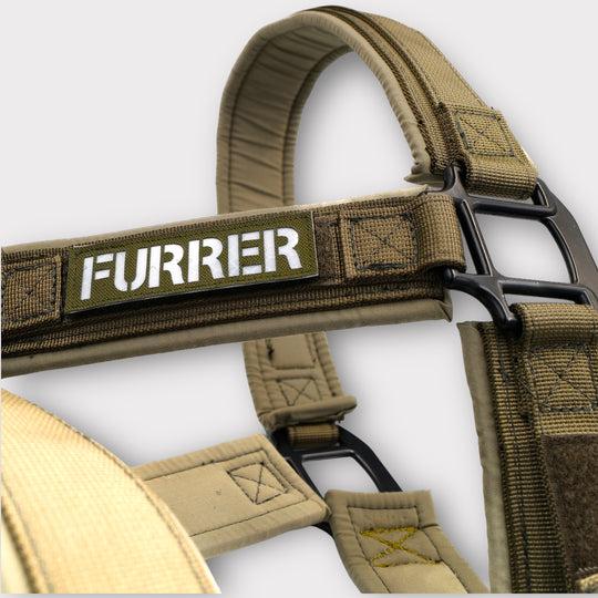 Tac Team Cobra Halfter mit Namenpatches - army-grün