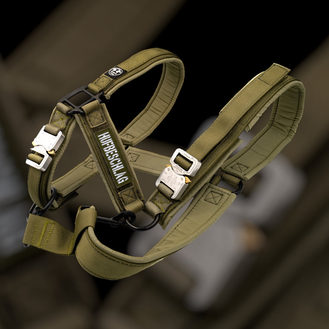 Tac Team Cobra Halfter mit Namenpatches - army-grün