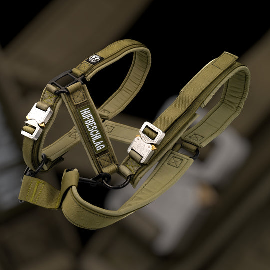 Tac Team Cobra Halfter mit Namenpatches - army-grün