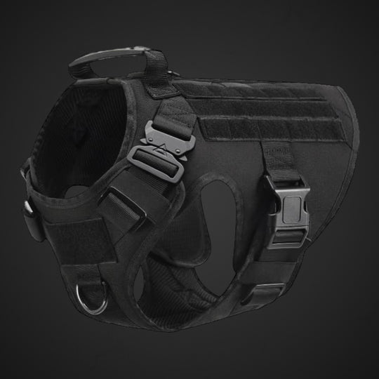Alltrail CC-K9 Eco light Hundegeschirr - schwarz
