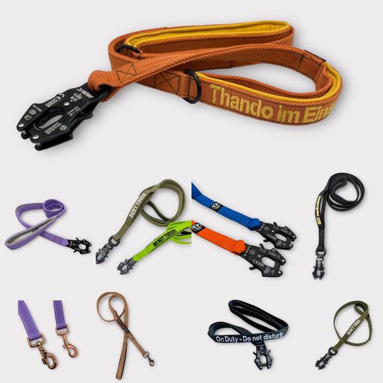 2.5 cm Leine personalisiert mit Standard-Karabiner, Frog Cable oder Frog 360