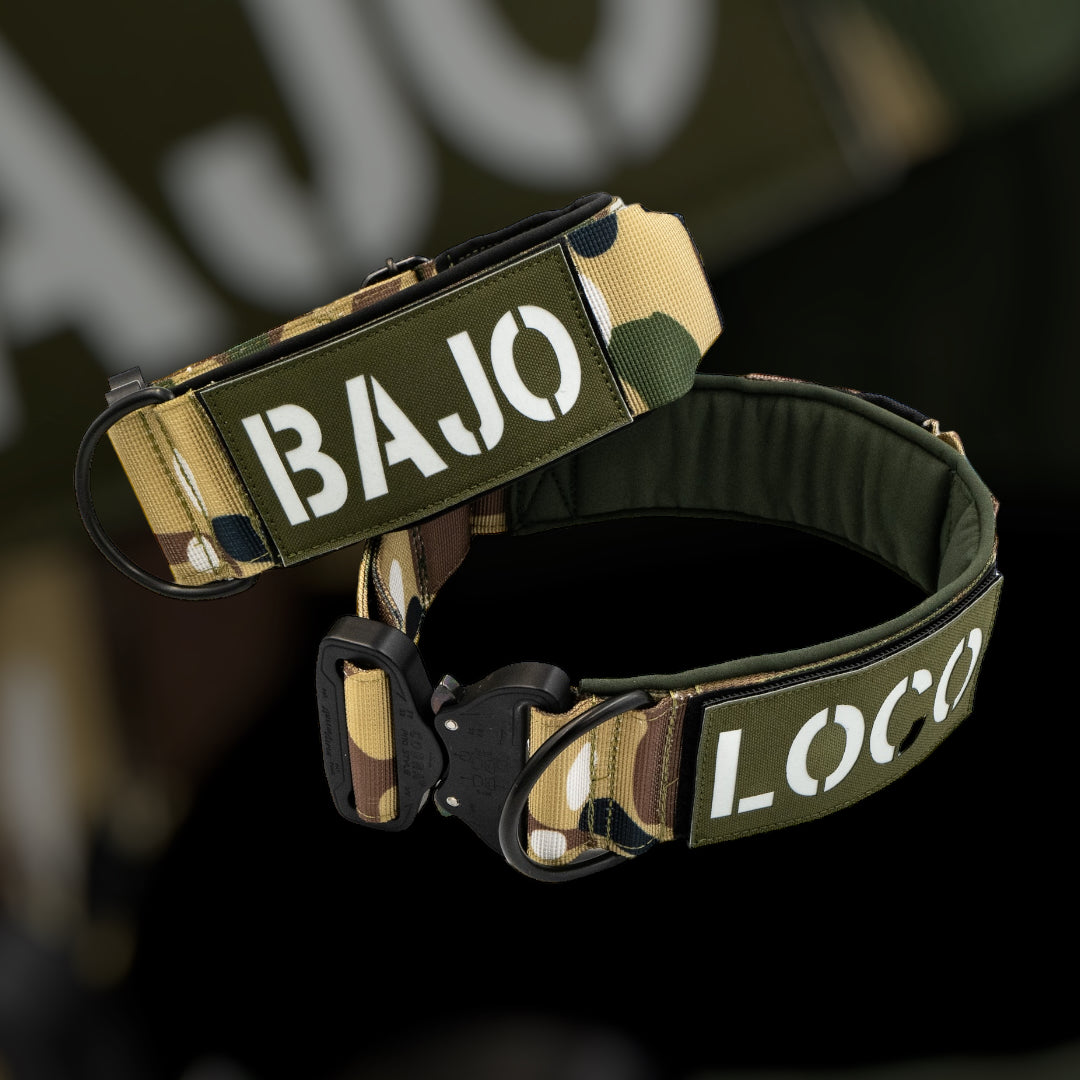 halsband mit namen