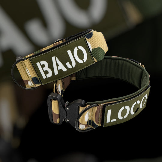 halsband mit namen