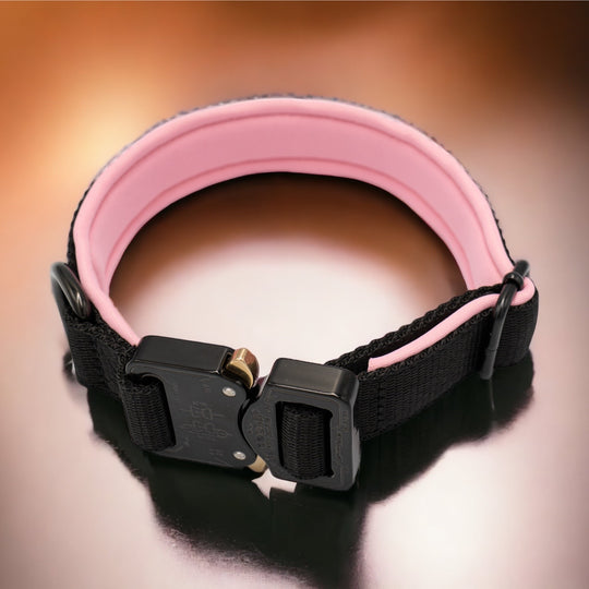 Your Choice - Mass Halsband 2.5 cm/4 cm/5 cm breit