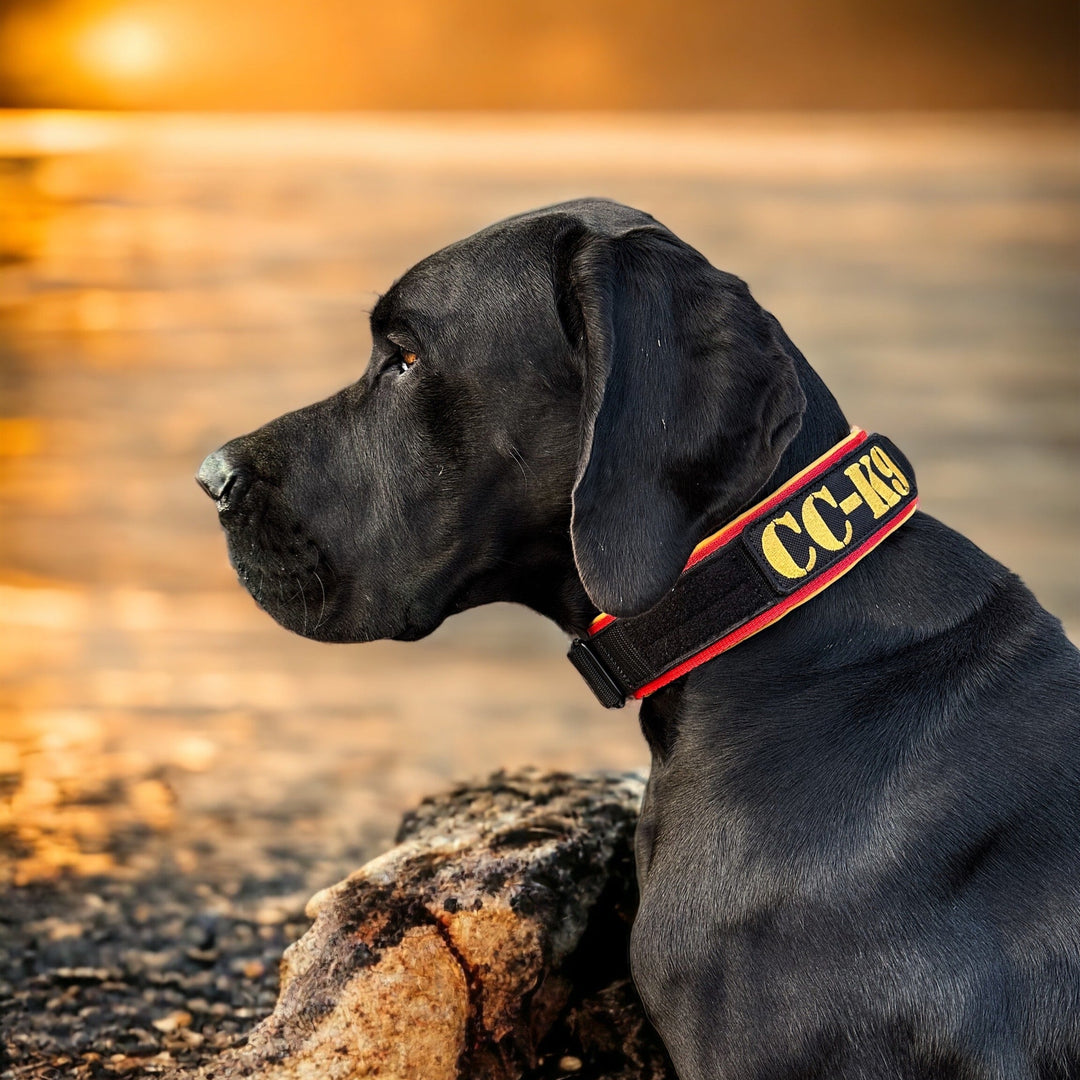 Luxus Heavy Duty Halsband 5 cm /7 cm/ 10 cm für grosse Hunde (zusätzliche Polster-Unterlage)