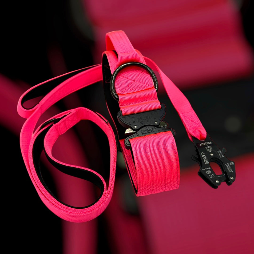 On Duty Cobra Haltegriff Halsband 5 cm für grosse Hunde (41 cm-78 cm)