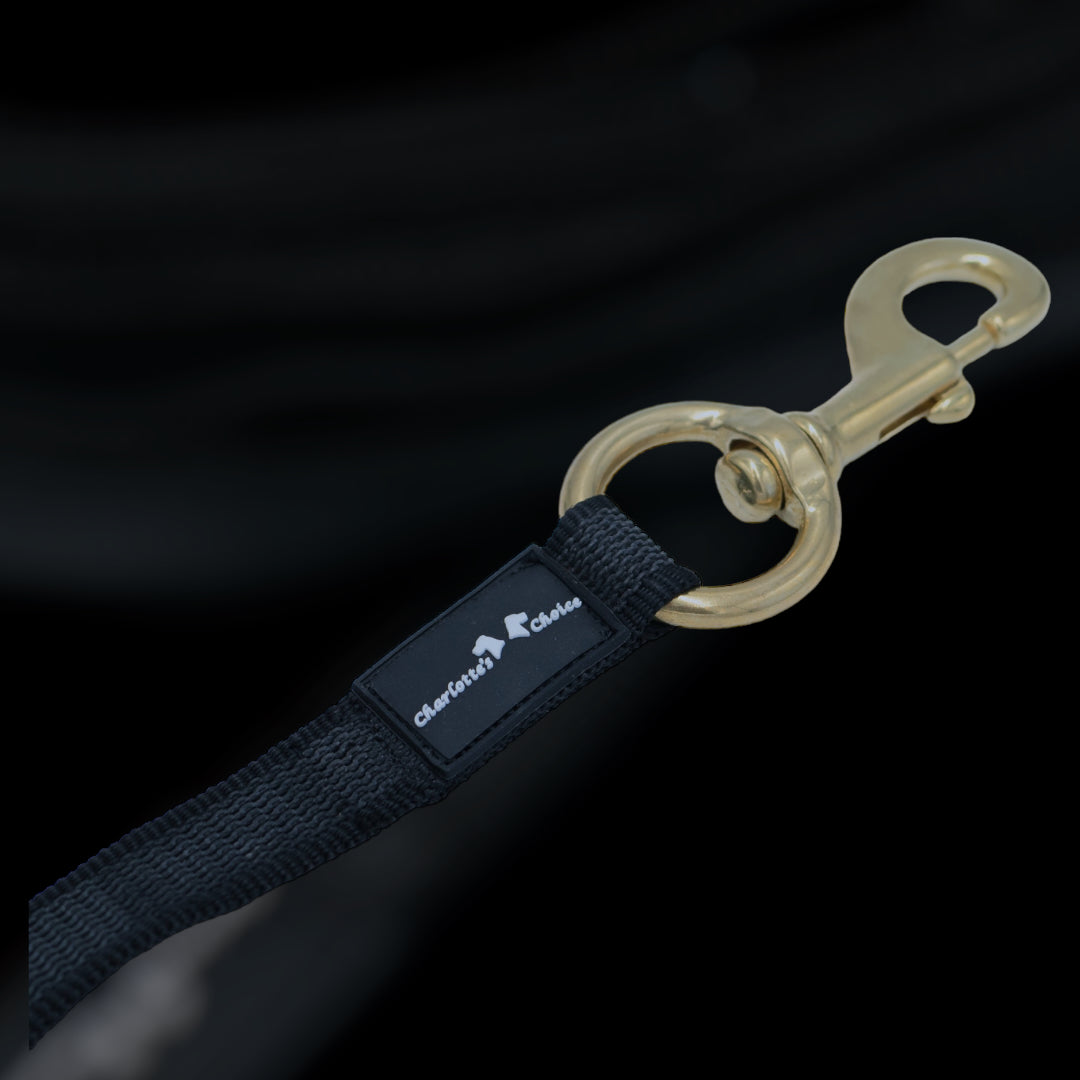 Gummierte Laufleine 5 m/2.5 cm breit mit grossem Messingkarabiner