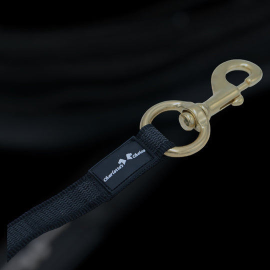 Gummierte Laufleine 5 m/2.5 cm breit mit grossem Messingkarabiner