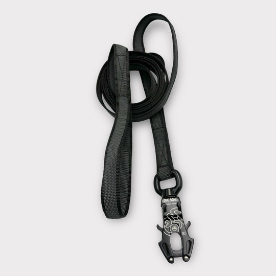 Gummierte Leine 2.5 cm mit Frog 360-Karabiner 1/2/3/5/10/15 m mit Schlaufen