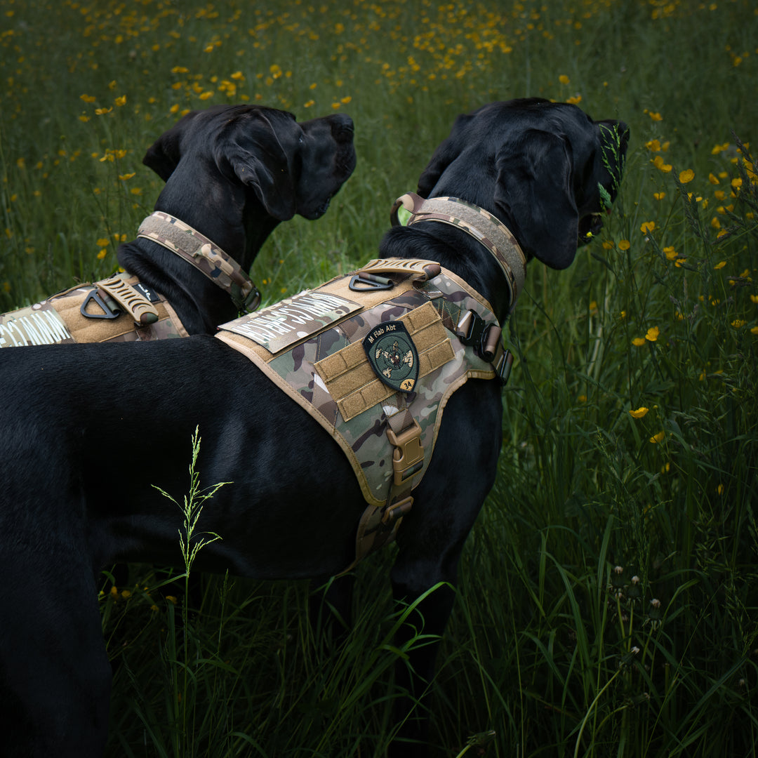 Alltrail CC-K9 Eco light Hundegeschirr  - camouflage nur noch Grösse XL