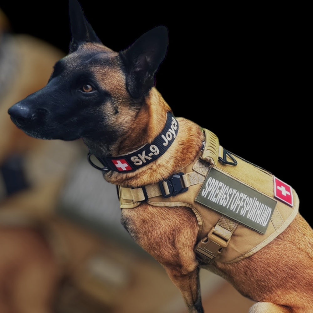 Alltrail CC-K9 Eco light Hundegeschirr - khaki SALE % L und XL