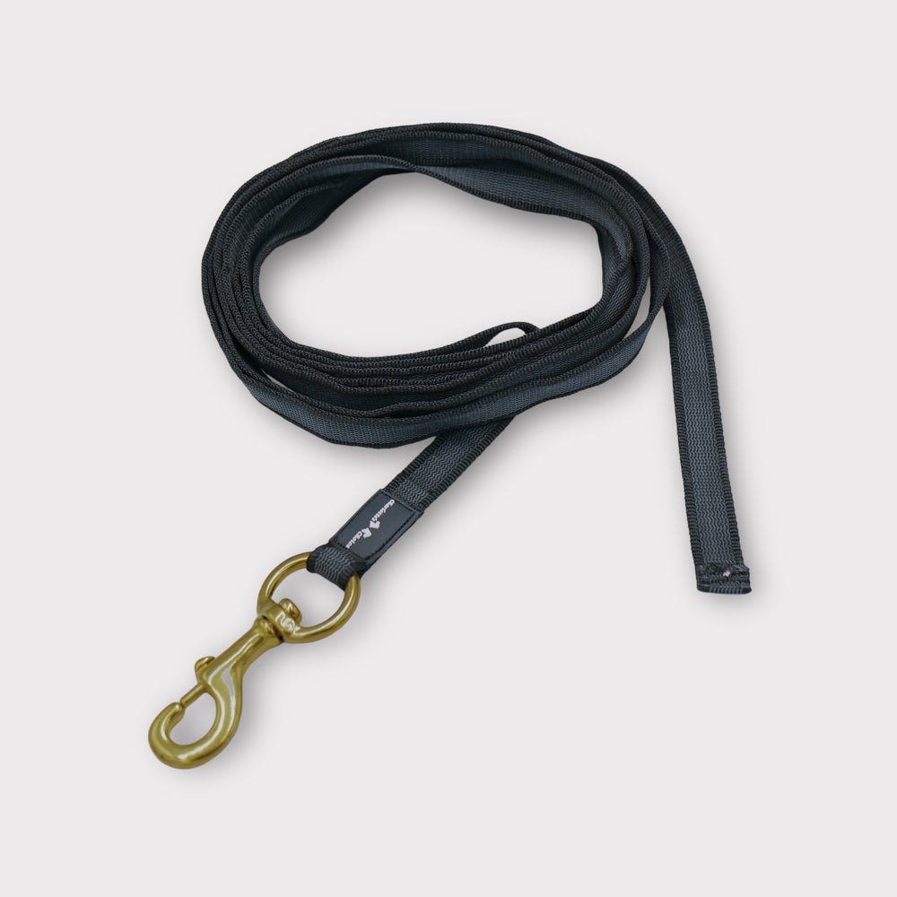 Gummierte Laufleine 5 m/2.5 cm breit mit grossem Messingkarabiner