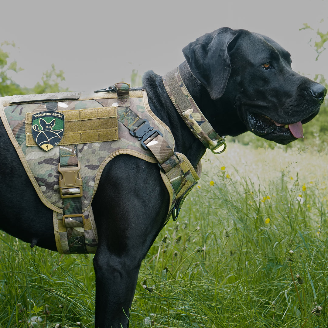 Alltrail CC-K9 Eco light Hundegeschirr  - camouflage nur noch Grösse XL