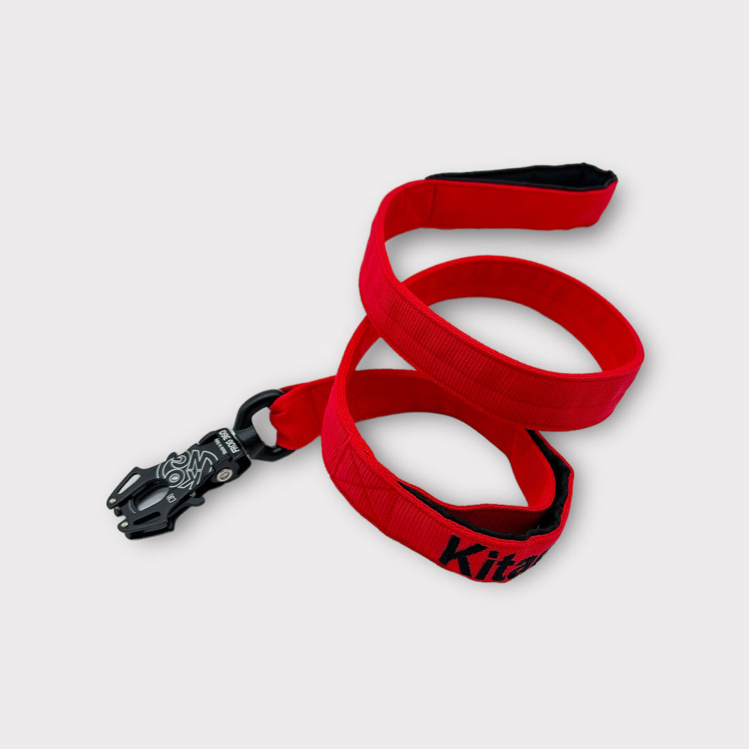 4 cm breite Leinen mit Frog 360 personalisiert
