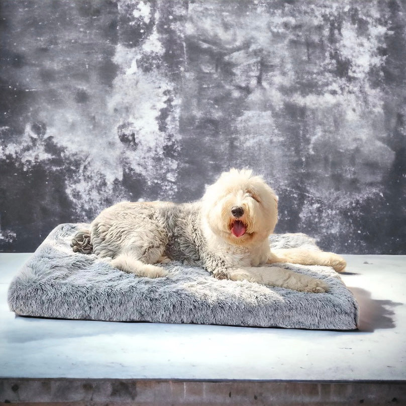 Nouveau ! Lit pour grands chiens 120 cm en mousse à mémoire de forme.