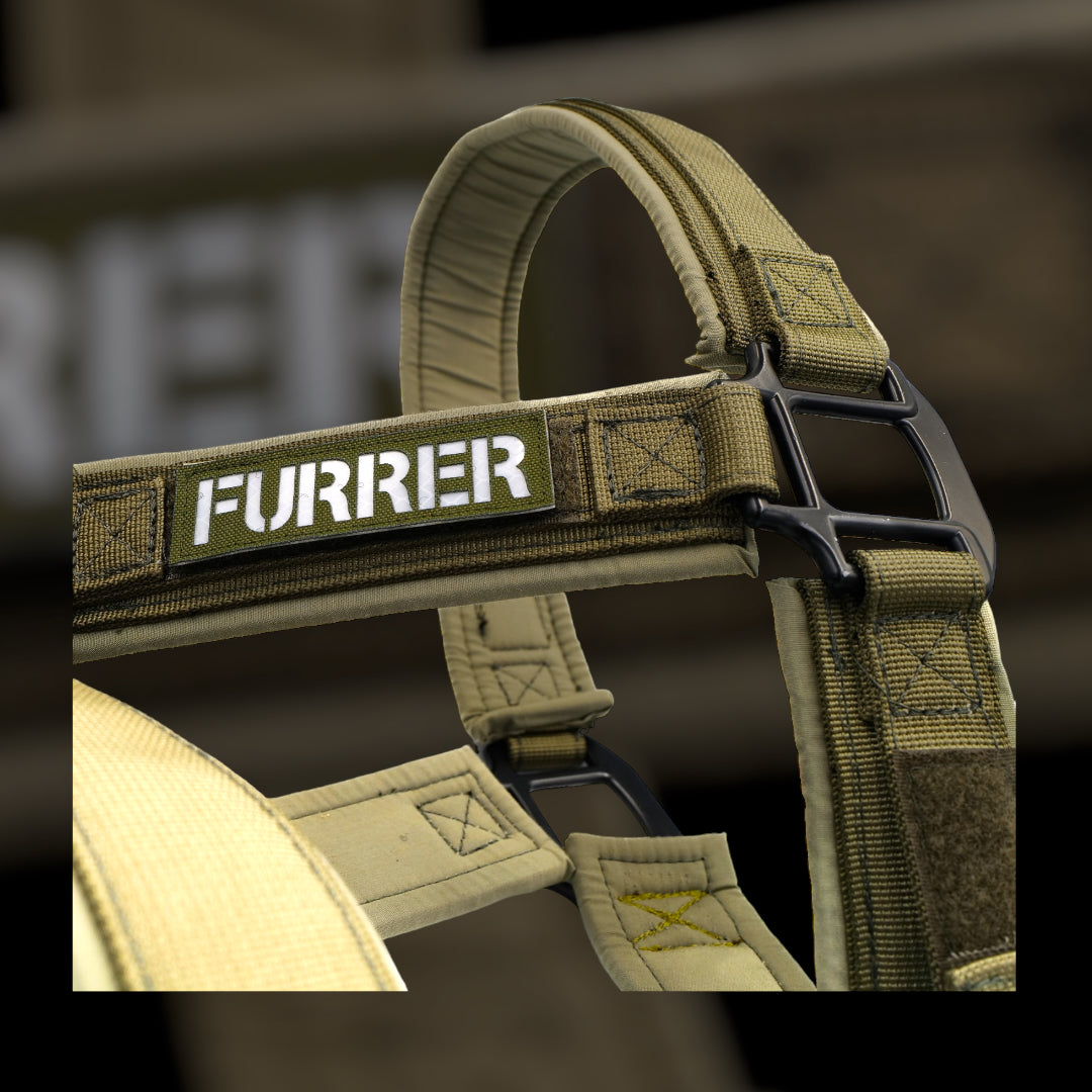 Tac Team Cobra Halfter mit Namenpatches - army-grün
