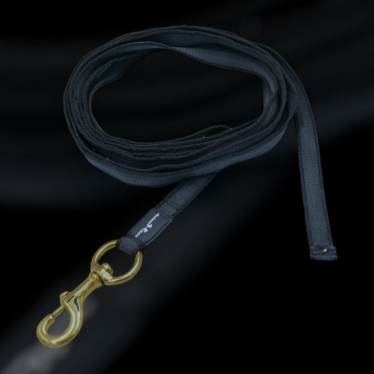 Gummierte Laufleine 5 m/2.5 cm breit mit grossem Messingkarabiner