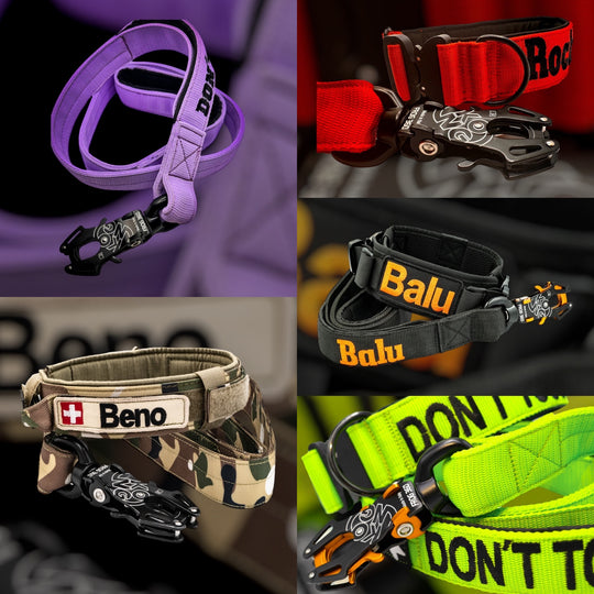 4 cm breite Leinen mit Frog 360 personalisiert