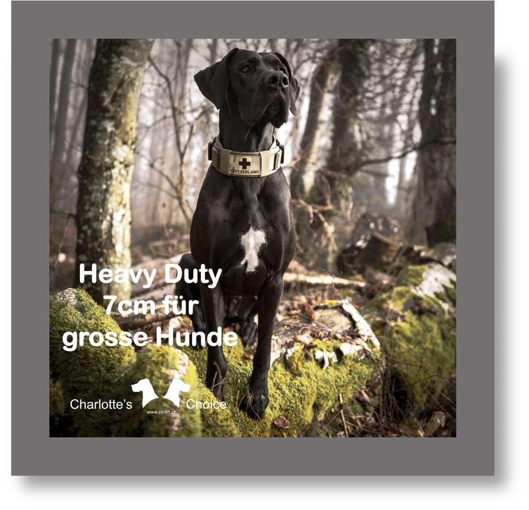 Halsband für deutsche doggen