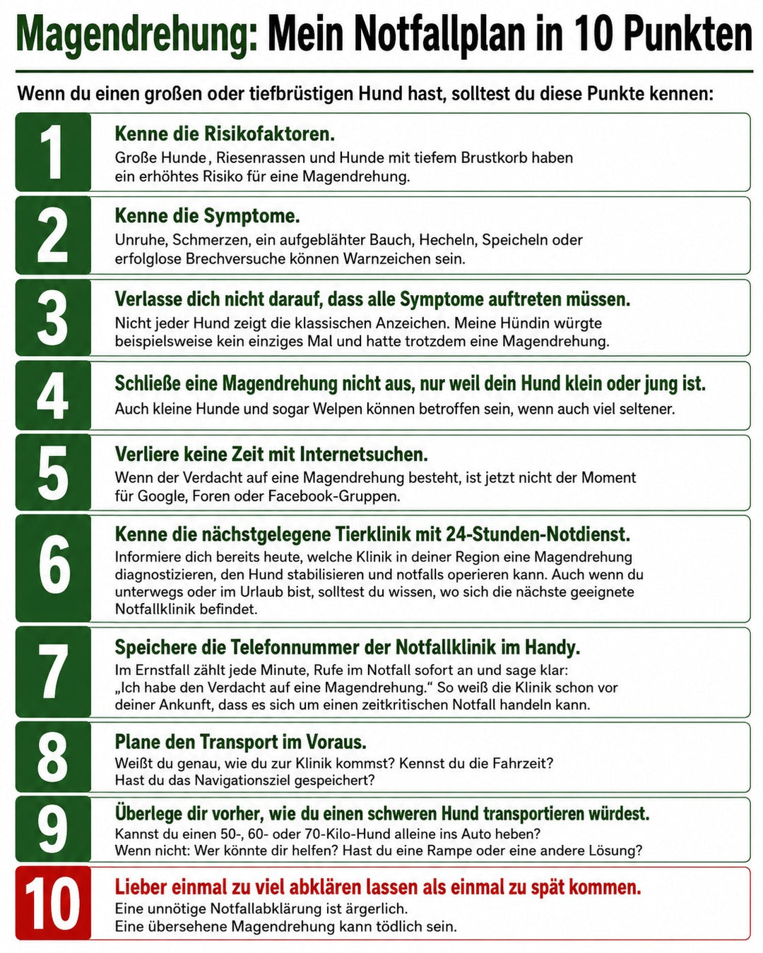 Magendrehung - Ein grosses Thema für grosse Hunde