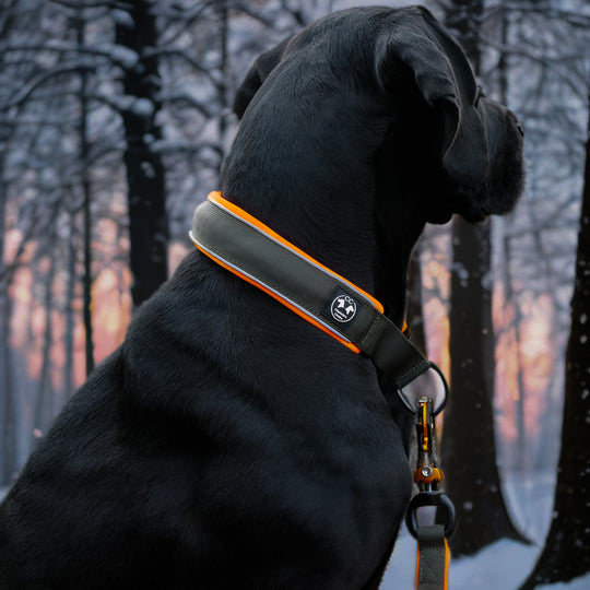 Comfo-Zugstopp limited edition Dark army 4&5 cm Breite (35 cm-60 cm)