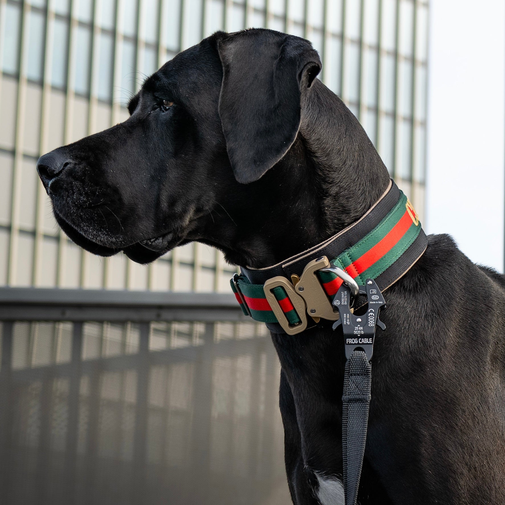 ZESLIV Hundehalsband Aus PU Leder Mit Pailletten – Verstellbares Karo-Halsband Für Kleine Bis Große Hunde
