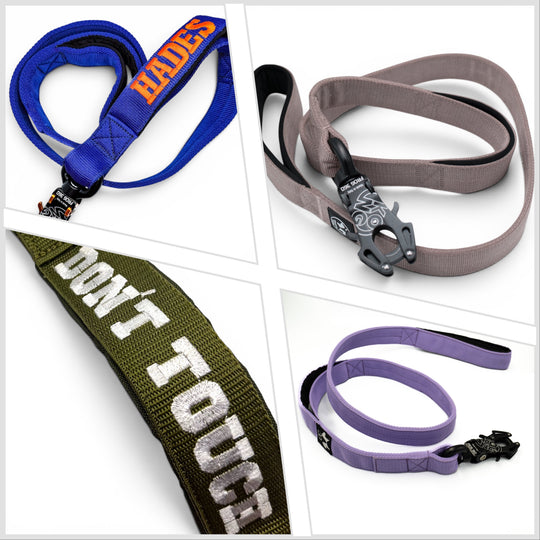 4 cm de large <tc>laisse</tc>n personnalisées avec Frog 360, 1,5 m
