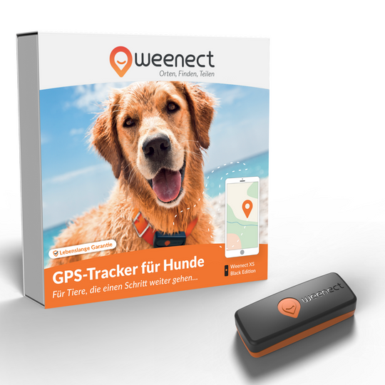 GPS Weenect Tracker für Hunde - der kleinste der Welt