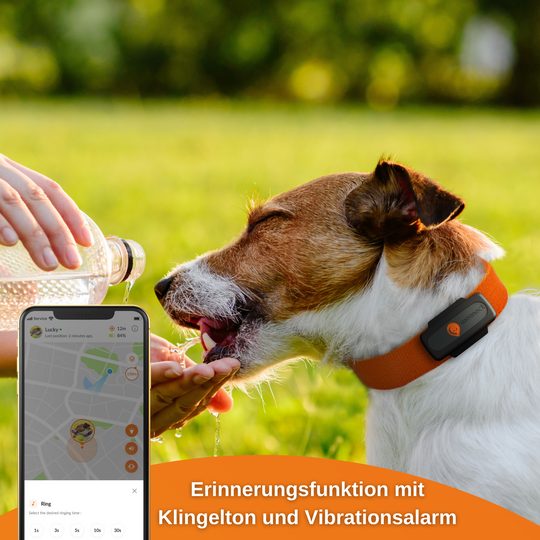 Traceur GPS Weenect pour chiens - le plus petit au monde