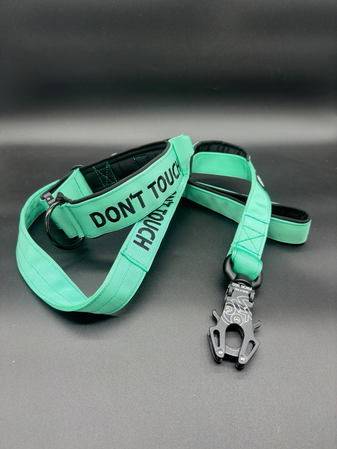 4cm wide <tc>leash</tc>n personalized with Frog 360