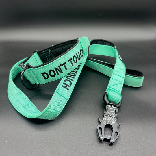 Your Choice - Mass Halsband 2.5 cm/4 cm/5 cm breit Konfigurator