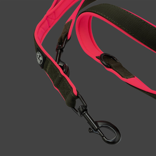 Dark army Leine 2.20 m 2.5 cm breit verstellbar Dark army & Polster neon orange & neon pink