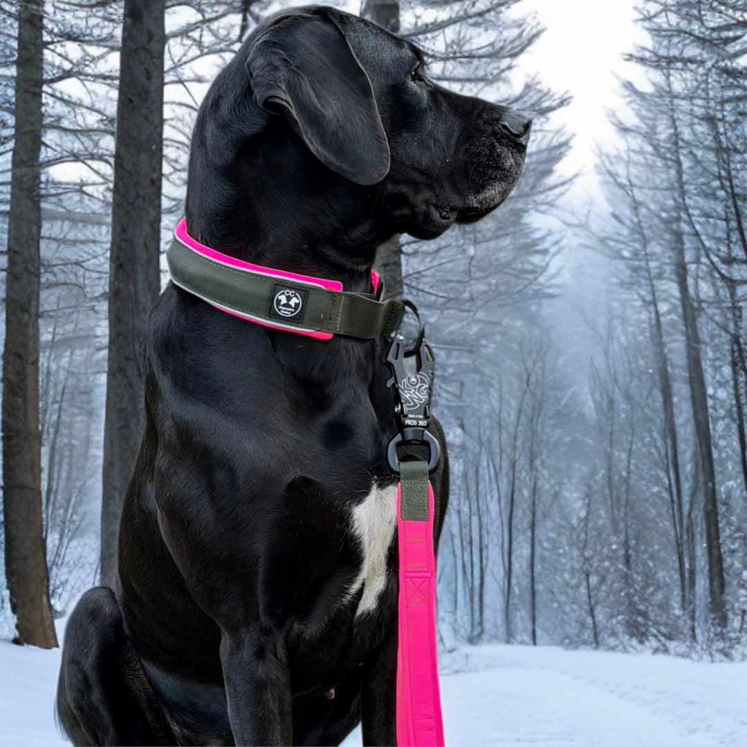 Comfo-Zugstopp limited edition Dark army 4&5 cm Breite (35 cm-60 cm)