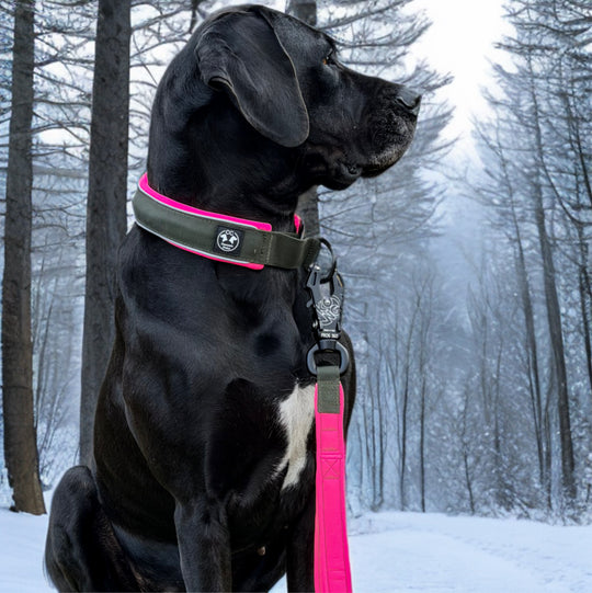 Comfo-Zugstopp limited edition Dark army 4&5 cm Breite (35 cm-60 cm)