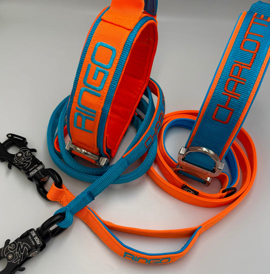 Luxus Heavy Duty Halsband 5 cm /7 cm/ 10 cm für grosse Hunde (zusätzliche Polster-Unterlage)