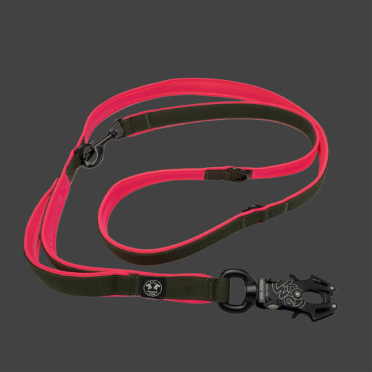 Dark army Leine 2.20 m 2.5 cm breit verstellbar Dark army & Polster neon orange & neon pink