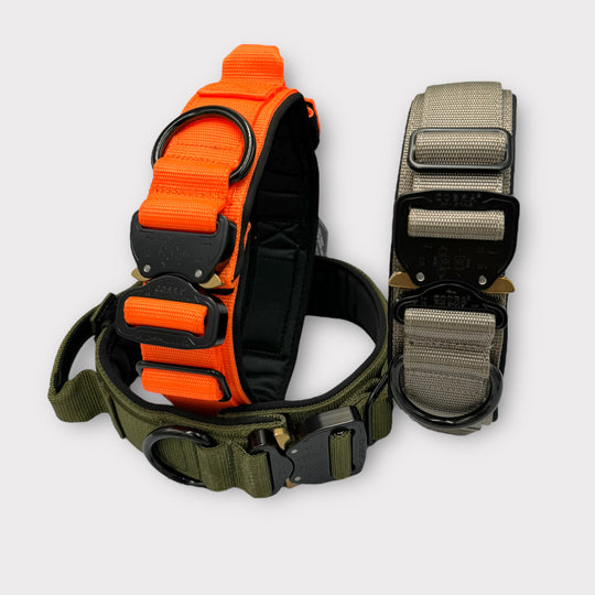 Breites Halsband sehr robust 5 cm breit mit Cobra Schnalle von Austrialpin für für ziehende Hunde