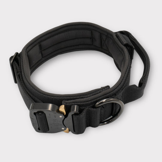 Breites Halsband sehr robust 5 cm breit mit Cobra Schnalle von Austrialpin schwarz