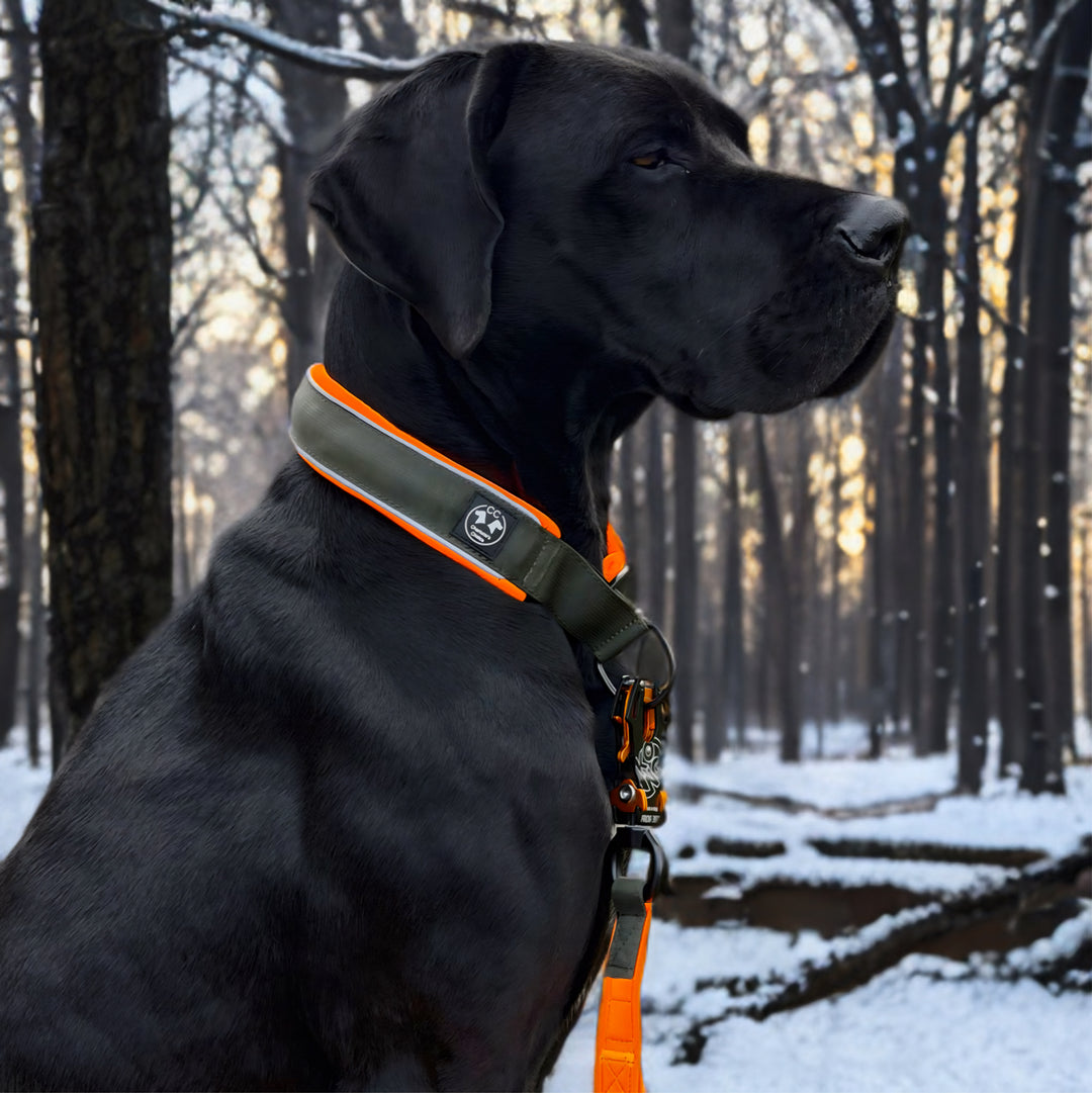 Comfo-Zugstopp limited edition Dark army 4&5 cm Breite (35 cm-60 cm)