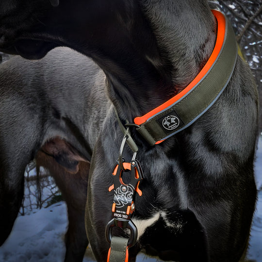 Comfo-Zugstopp limited edition Dark army 4&5 cm Breite (35 cm-60 cm)