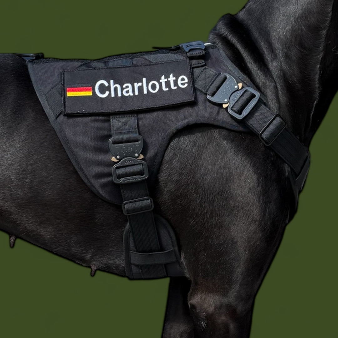Einsatz Geschirr Polizei mit Magnetgriff und Cobra Schnallen für den Dienst