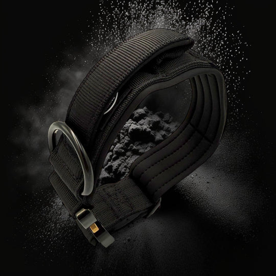 Einsatzhalsband schwarz Magnetgriff